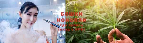 сатива Аркадак